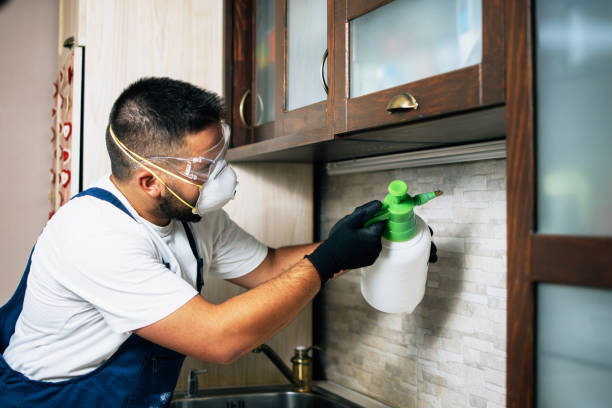 Best Cockroach Control Services  in Newellton, LA