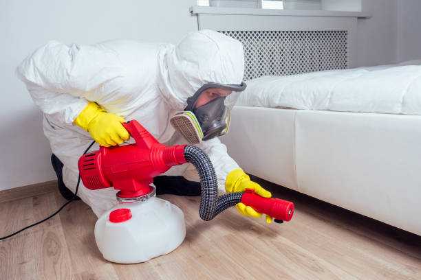 Best Insect Control  in Newellton, LA