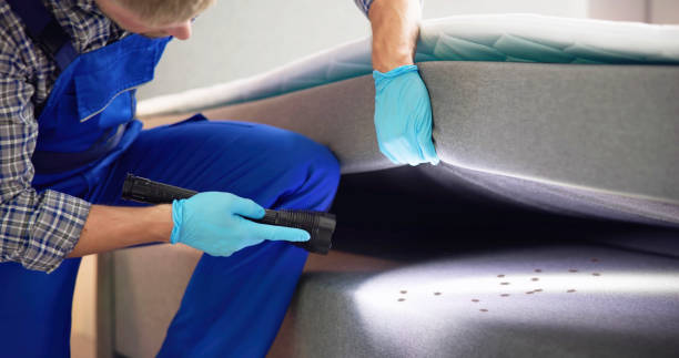 Best Local Pest Control Services  in Newellton, LA