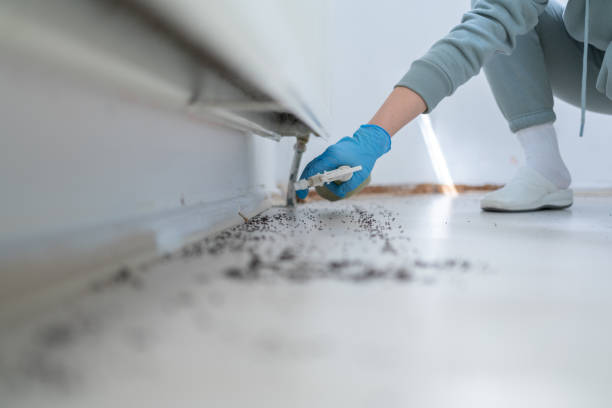 Best Affordable Pest Control Services  in Newellton, LA
